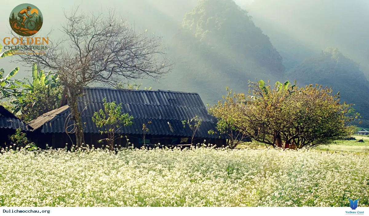 12-Day North Vietnam Cycling Adventure: Off the Beaten Path from Hanoi to Ninh Binh